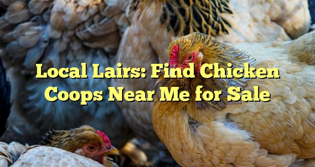 Local Lairs: Find Chicken Coops Near Me for Sale 
